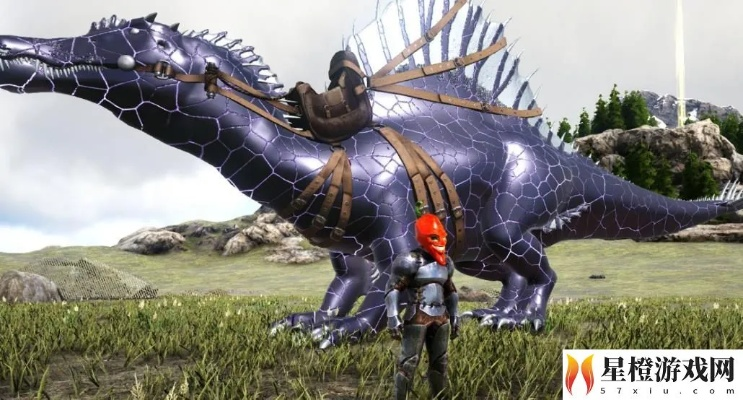 揭秘宝藏软件，方舟手游棘背龙食物指南与漫斗堂激活神器——理论解答解释定义BT1_v5.259